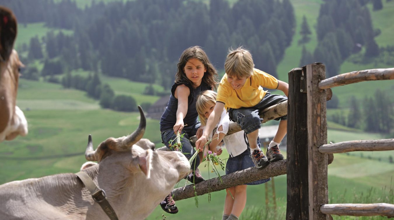 Südtirol, Urlaub auf dem Bauernhof,
Alta Badia,
Südtiroler Bauernbund,
